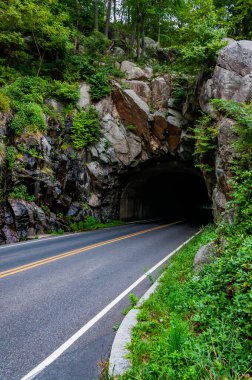 Marys Rock Tüneli, Skyline Drive, Shenandoah Ulusal Parkı, Virginia, ABD
