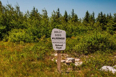 Fotoğraf: Dolly Sods Wilderness, Monongahela Ulusal Ormanı, Batı Virginia