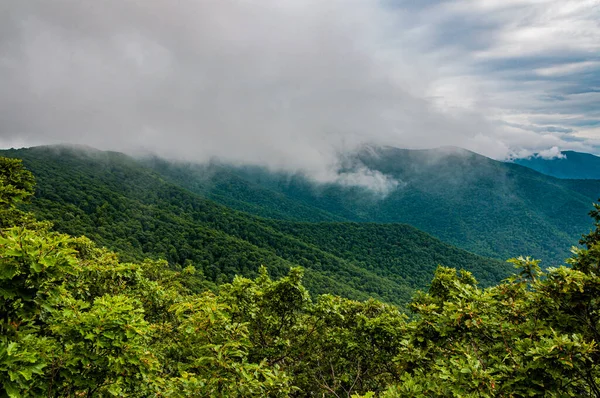Regenschauer Den Appalachen Shenandoah National Park Virginia Usa — Stockfoto