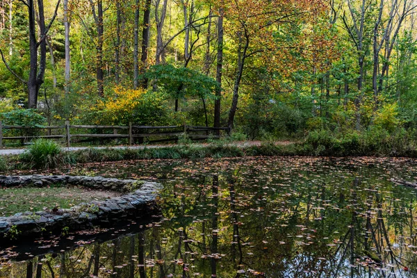 Herbstblätter Und Reflexionen Teich Richard Nixon County Park York County — Stockfoto