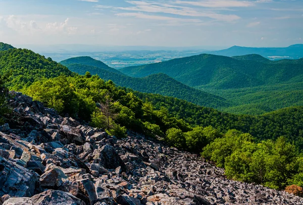 Zomer Wandelen Appalachian Mountains Shenandoah National Park Virginia Verenigde Staten — Stockfoto