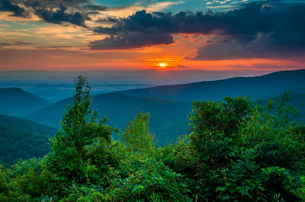 Blue Ridge Mountain Sunset Shenandoah National Park バージニア州 アメリカ — ストック写真