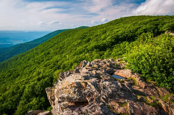 Little Stony Man Cliffs in Summer, Shenandoah Ulusal Parkı, Virginia, ABD