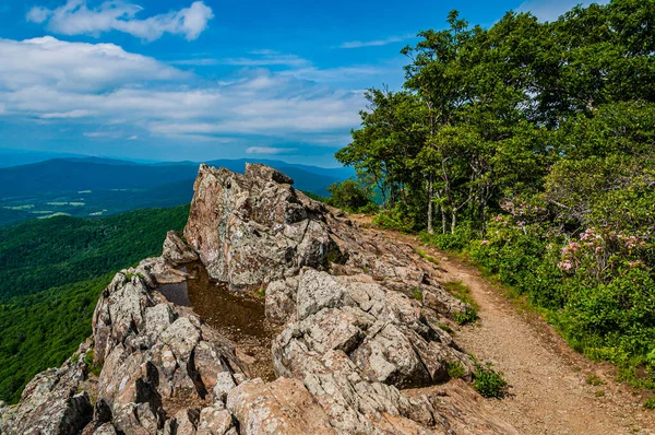 Little Stony Man Cliffs Trail, Shenandoah Ulusal Parkı, Virginia, ABD