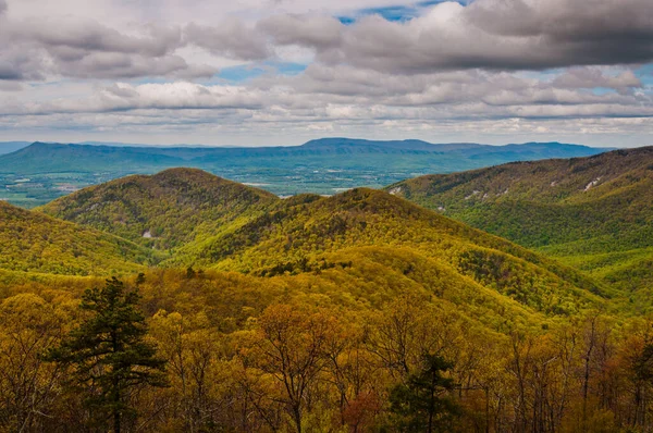 Primavera Parque Nacional Shenandoah Virgínia Eua — Fotografia de Stock