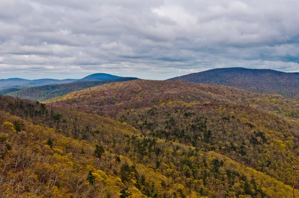 Montanhas Apalaches Parque Nacional Shenandoah Virgínia Eua — Fotografia de Stock