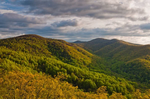 Late Lente Shenandoah National Park Virginia Verenigde Staten — Stockfoto