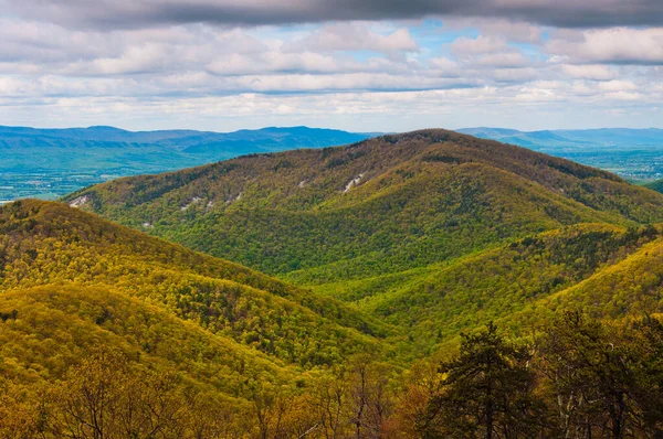 Appalachians Shenandoah National Park Virginia Usa — 스톡 사진