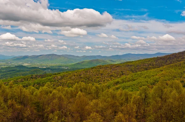 Appalachians Baharı, Shenandoah Ulusal Parkı, Virginia, ABD