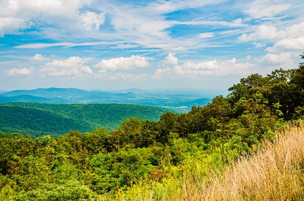 Verão Nas Montanhas Apalaches Parque Nacional Shenandoah Virgínia Eua — Fotografia de Stock