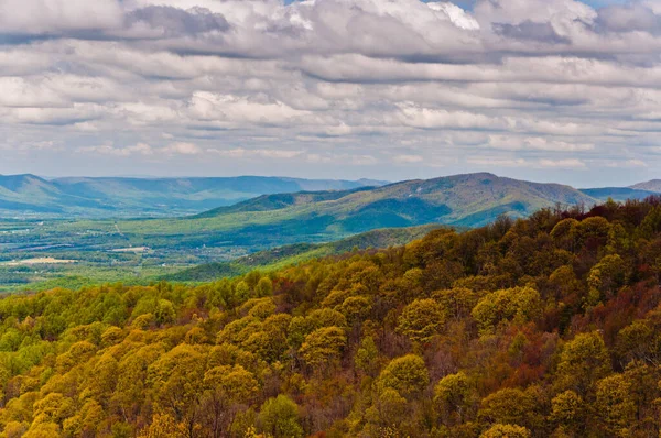 Güzel Appalachian Dağları, Shenandoah Ulusal Parkı, Virginia, ABD