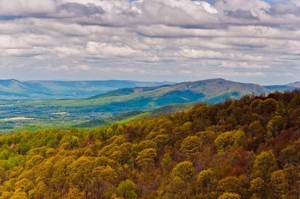 Beautiful Appalachian Mountains Shenandoah National Park Virginia Usa — 스톡 사진