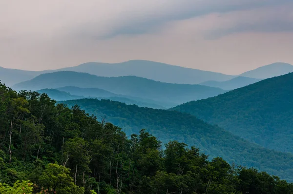 Blue Ridge Mountains Sunset Shenandoah National Park Virginia Usa — Stock fotografie