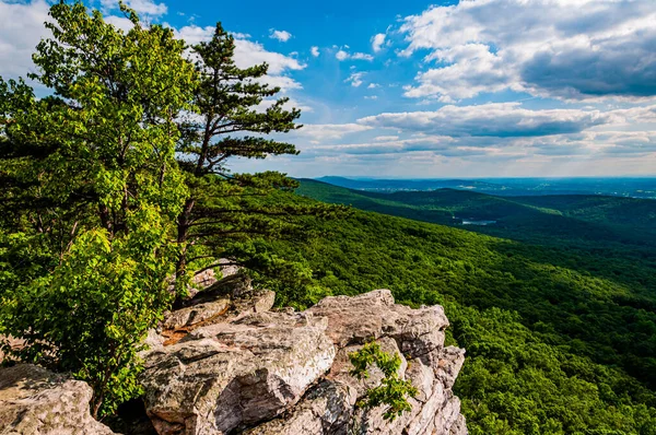 Foto Från Annapolis Rocks Vista Maryland Usa — Stockfoto