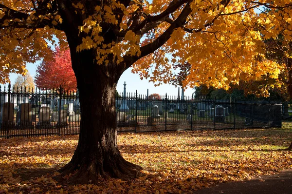 美国宾夕法尼亚州葛底斯堡国家公墓美丽秋日的照片 — 图库照片