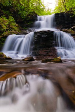 Şelale Ricketts Glen State Park, Pennsylvania