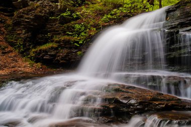 Şelale Ricketts Glen State Park, Pennsylvania