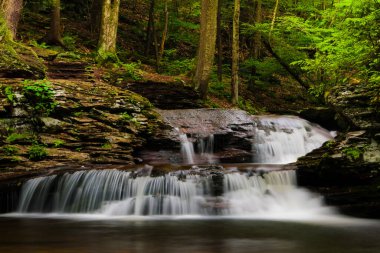 Ricketts Glen Eyalet Parkı, Pennsylvania 'da çağlayan şelale