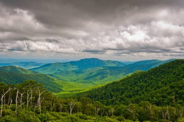 Pinnacles Overlook, Skyline Drive, Shenandoah Ulusal Parkı, Virginia.