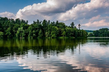 Williams Gölü, York Pennsylvania