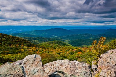Bearfence Dağı, Shenandoah Ulusal Parkı, Virginia