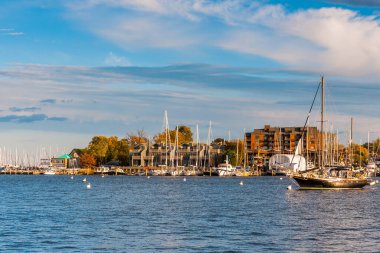 Annapolis Limanı Sonbahar Akşamı