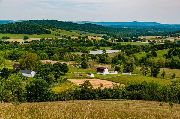 Photo Shenandoah Valley Farmland Sky Meadows State Park Virginia Usa — Stock Photo, Image