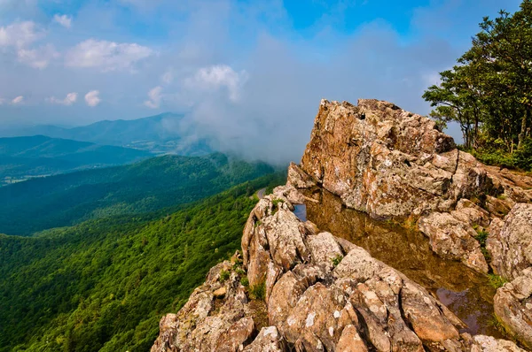 Little Stony Man Cliffs Shenandoah National Park Virginia Usa — 스톡 사진