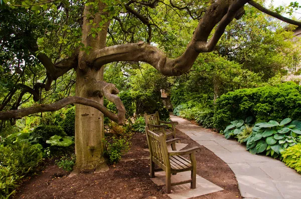 Bir Bahçe Yolu Fotoğrafı, Washington Ulusal Katedrali, Washington DC Güzel bir Yaz Günü