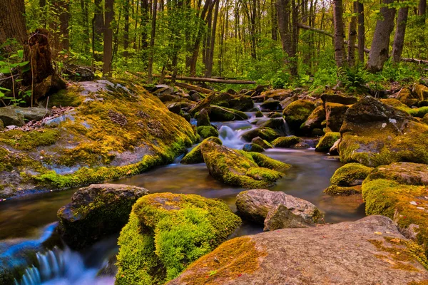 CASCADE Dağları Güney Nehri, shenandoah Milli Parkı, virginia