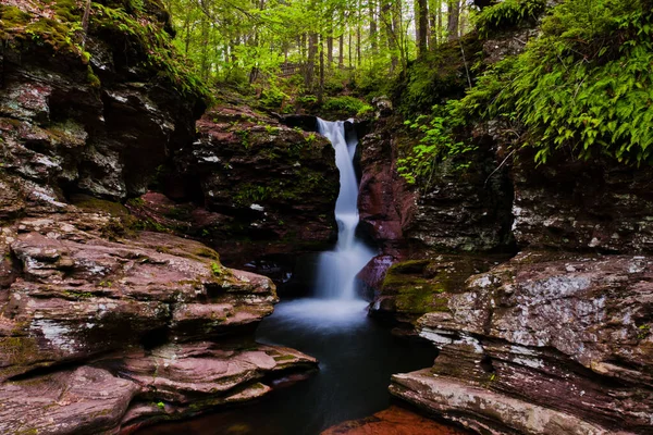 Adams Falls Ricketts Glen State Park Pennsylvania — стокове фото