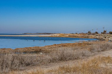 The Bay Side on a Winter Day, Sandy Hook, Gateway Ulusal Parkı, New Jersey, ABD
