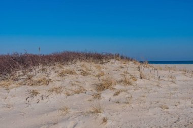 Walking along the Trail to the Beach, Sandy Hook, Gateway Ulusal Parkı, New Jersey, ABD