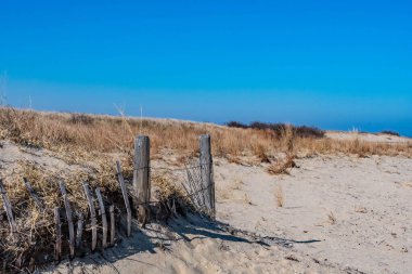 Sandy Hook 'ta Kış Gezintisi, Gateway Ulusal Eğlence Alanı, New Jersey, ABD