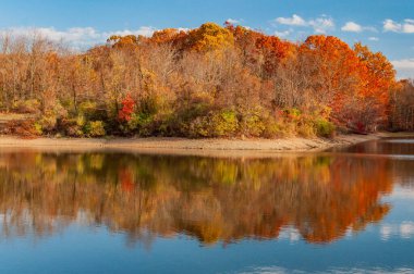 Sonbahar Yansımaları, Marburg Gölü, Pennsylvania, ABD