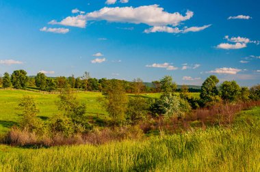 Antietam National Battlefield, Maryland, USA, Sharpsburg, Maryland