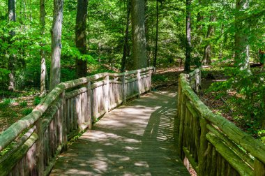 Woodlands Köprüsü, Ulusal Botanik Bahçesi, Washington DC, Washington, Columbia Bölgesi