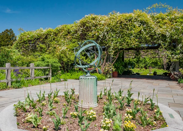 Visiting National Arboretum Summer Day Washington Usa Washington District Columbia — Stock Photo, Image