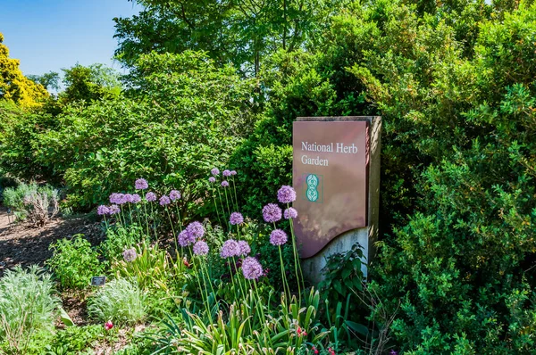 National Herb Garden National Arboretum Washington Usa Washington District Columbia — Stock Photo, Image