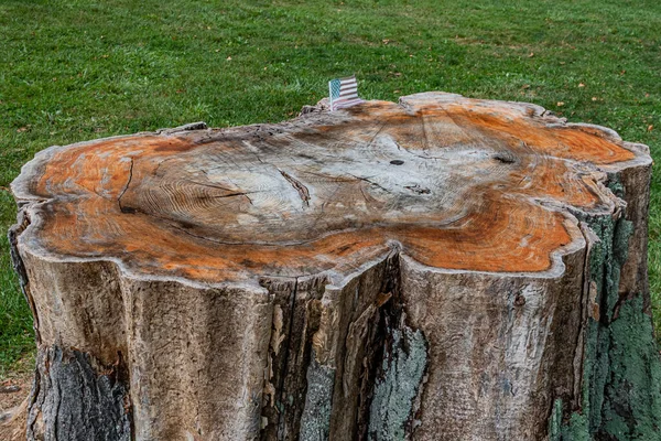 Witness Tree Stump, Gettysburg National Cemetery, Pennsylvania USA, Gettysburg, Pennsylvania