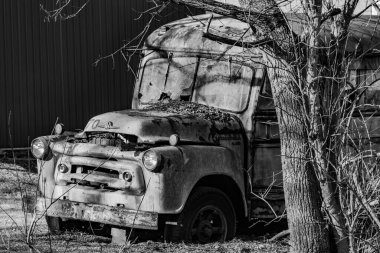 Junked Schoolbus, New Freedom, Pennsylvania ABD, New Freedom, Pennsylvania