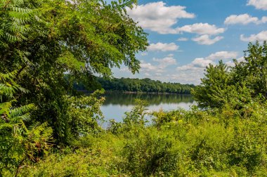 Susquehanna Nehri 'nin batı kıyısı, York County, Pennsylvania, Pennsylvania