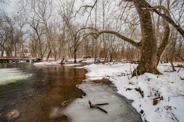 Marsh Creek 'te kış, Gettysburg, Pennsylvania ABD, Gettysburg, Pennsylvania