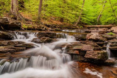 Patika Boyunca Huzurlu Bir Yer, Ricketts Glen Eyalet Parkı, Pennsylvania ABD, Benton, Pennsylvania