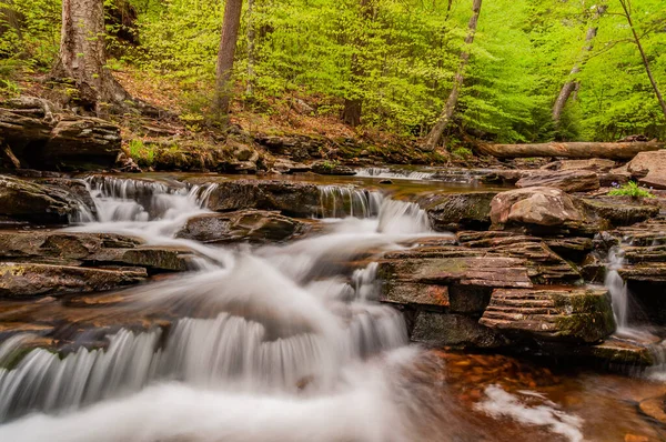 Peaceful Place Trail Ricketts Glen State Park Пенсильвания Сша Benton — стоковое фото