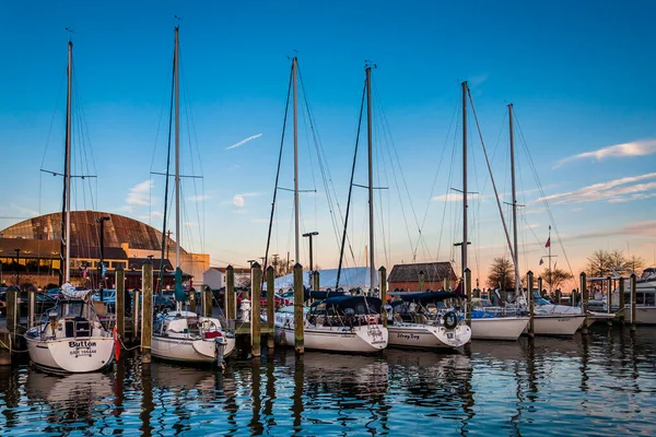 Dusk Annapolis Limanı Maryland Annapolis Maryland Deki Yelkenliler — Stok fotoğraf