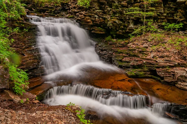 Una Tarde Primavera Parque Estatal Ricketts Glen Pensilvania Benton Pensilvania —  Fotos de Stock