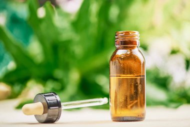 CBD kenevir yağı, marihuana bitkisine karşı bir şişe kenevir yağı. Bitkisel Tedavi, Alternatif Tıp