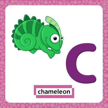 C harfi küçük harfli. Beyaz arka planda yeşil bukalemun çizgi filmi var. Eğlenceli renkli bir hafıza kartı hayvanat bahçesi ve hayvanlar alfabesi. İngilizce kelime öğrenen çocuklar için eğitim kartı. Vektör EPS