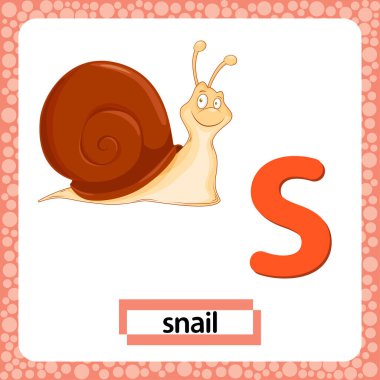 Beyaz arka planda izole edilmiş şirin çizgi film karakteri Salyangoz 'un küçük harfleri. Eğlenceli renkli bir hafıza kartı hayvanat bahçesi ve hayvanlar alfabesi. İngilizce kelime ve alfabe öğrenen çocuklar için eğitim kartı.